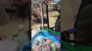 Выставка кошек в Москве Вндх | Котята Рэгдолл на продажу