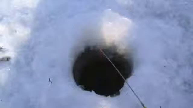 КОПАТЕЛЬ СХОДИТ С УМА