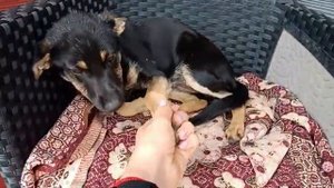Климат, погода город Лиски Воронежская область. 18 сентября 2019 года.