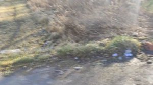 Renault vel satis Обзор, розгон.