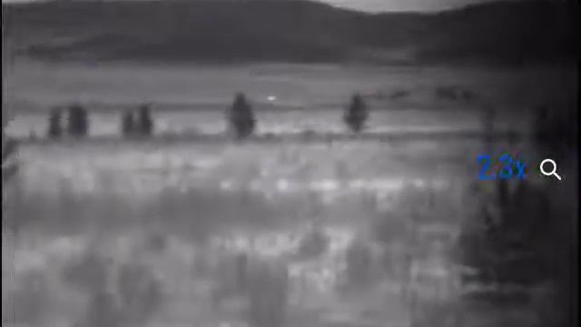 Pulsar XQ28 косули 300м. бегут смотреть онлайн