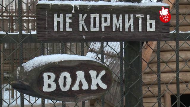 Гелиопарк Вербилки смотреть онлайн