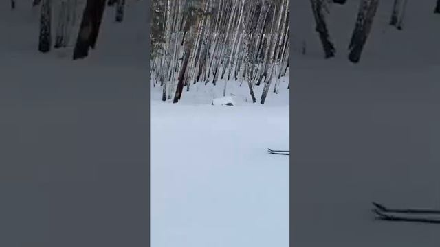 Солнечная Долина, открытие сезона и новой трассы🇷🇺❄️