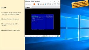 Загрузочная флешка Windows 10 Live USB