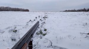 Отстреливаю холостые патроны 12калибра