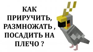 Как приручить попугая в майнкрафте? Как посадить на плечо попугая в майнкрафт? Как размножать?