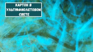 Флюоресценция волокон картона.