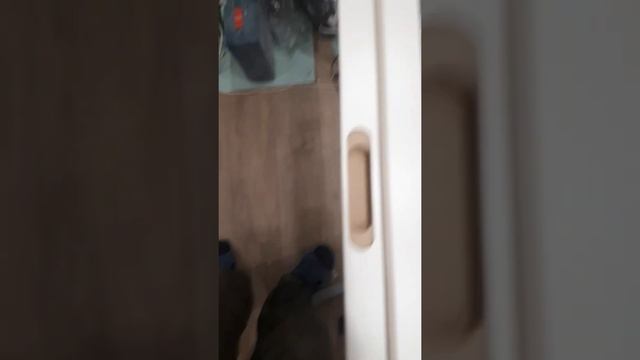 Врезка скрытых петель AGB 3.0 в двери Профиль Доорс. Установка дверей в Самаре 89376509606 смотреть онлайн