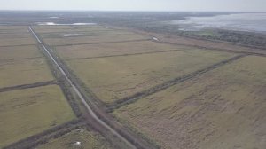 Рисовые чеки у Краснодарского водохранилища 22.10.2022 v2