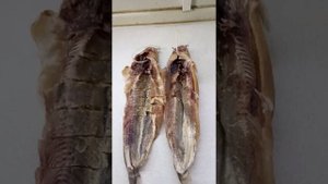 Вяленый африканский сом, разочарование. Моё мнение.