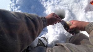 НАДУБАСИЛ ОКУНЯ НА БАЛАНСИР.РЫБАЛКА В МАРИЙ-ЭЛ. д.Удельная.