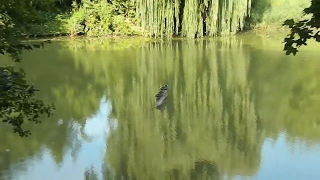 Подорож до Пирогово смотреть онлайн