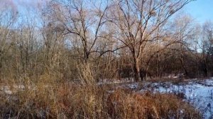 Как выглядит Виктория Лопырева без макияжа