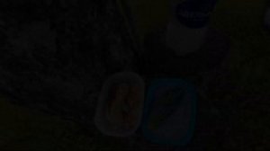 Посадка картофеля под мотоблок САЛЮТ 100