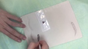 Микроблейдинг бровей. Волосковая техника. Схема.