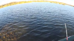 Щука в глубоком карьере. Ловля щуки с лодки на воблера