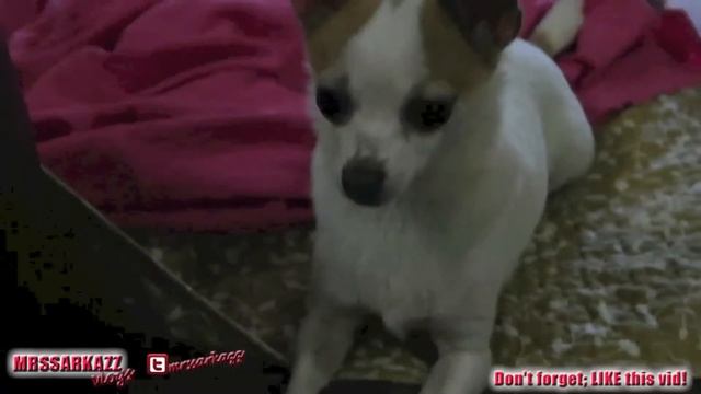 Samsung NX300 смотреть онлайн