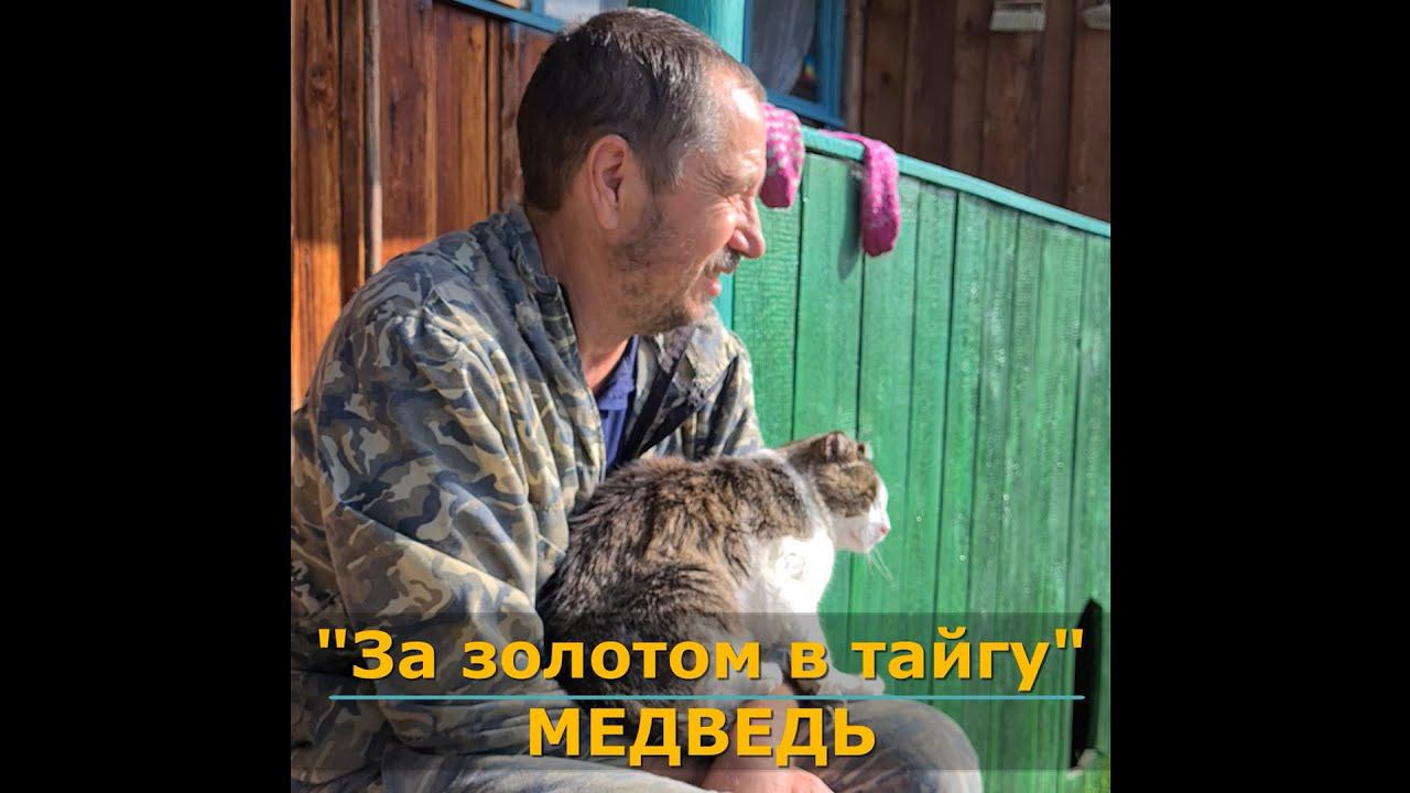 Медведь не выпустил из дома #shorts смотреть онлайн