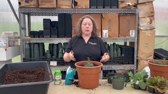 Container Gardening Project 2022 смотреть онлайн