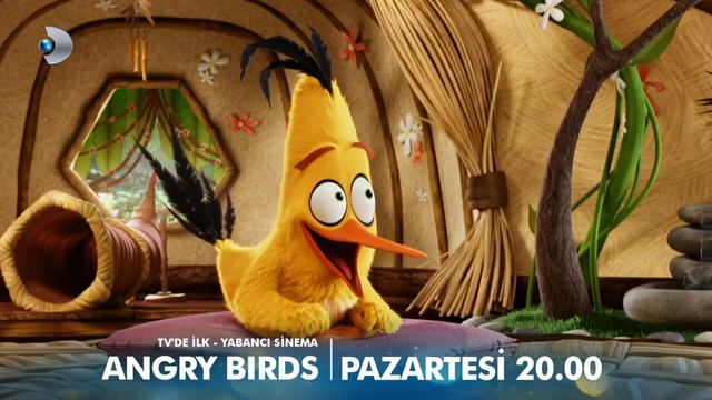 Tv'de ilk Kez! Angry Birds yarın 20.00'de Kanal D de! смотреть онлайн