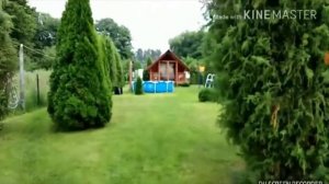 Хоррор сериал с криком(чудовищем)