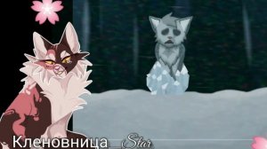 #20 Утерянные файлы /Мошка/коты воители