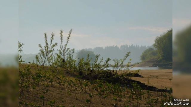 Лето и красота природы смотреть онлайн