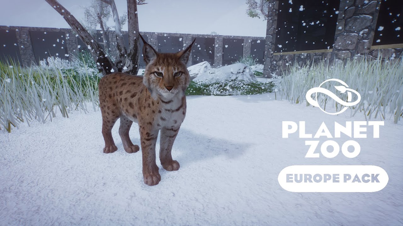 Planet Zoo Europe - Рысь