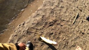 Рыбалка в Ханты-Мансийске 02.10.2020 г.