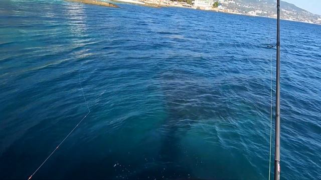 ?Вот и подошёл осенний Сарган. Морская Рыбалка на Пилькер, Ливадия-Крым.