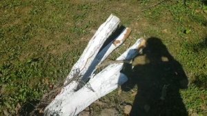Выкорчевывание сирени, яблонь, груши