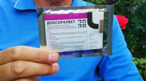 Лечение основных респираторных заболеваний у голубей