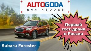 Subaru Forester 2019 5  поколения - тест драйв. Субару Форестер 5 - первый обзор и отзывы владельцев