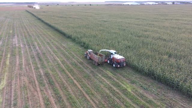 Заготовка кукурузного силоса 2020 смотреть онлайн