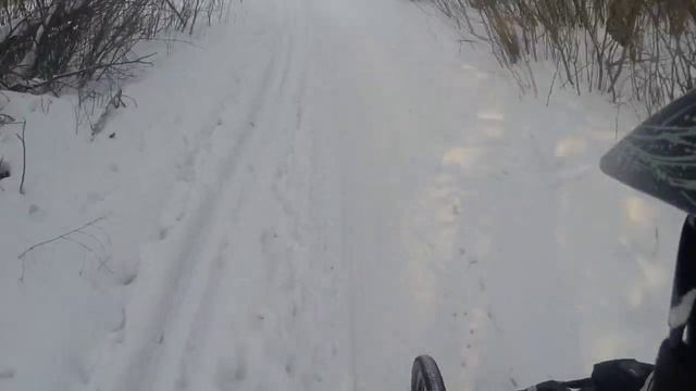 крутые вело покатушки в лесу, веломотор ф80