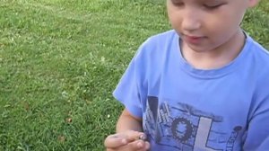 замена лампочки нейтрали на мотоцикл иж