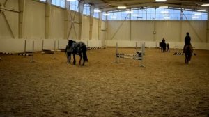 Конкурная Тренировка | Конный Спорт |