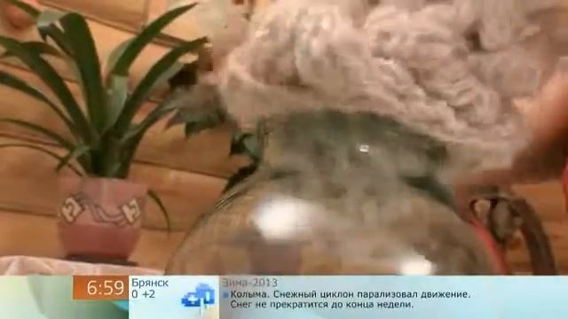 Как защитить шерстяные и пуховые вещи от моли смотреть онлайн