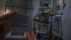 ЛУЧШИЕ КОРМУШКИ И ВАННОЧКИ ДЛЯ ПОПУГАЯ