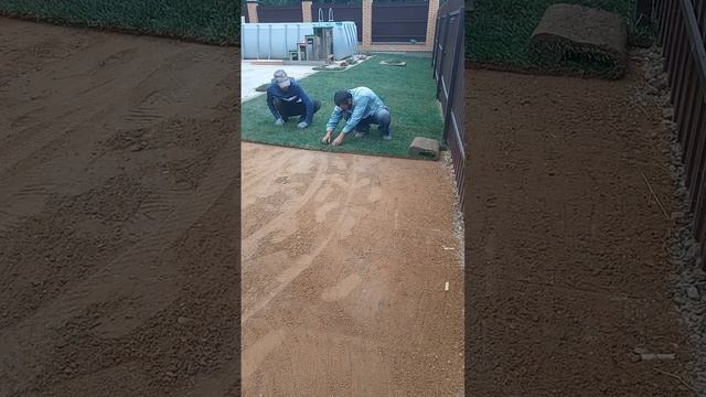выравнивание участка, и укладка газона. смотреть онлайн