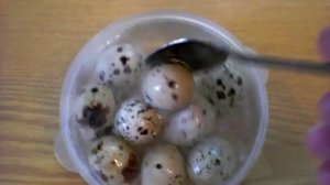 Как перепелиные яйца сделать белыми.