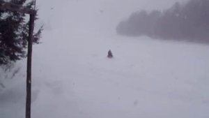 arctic cat pantera