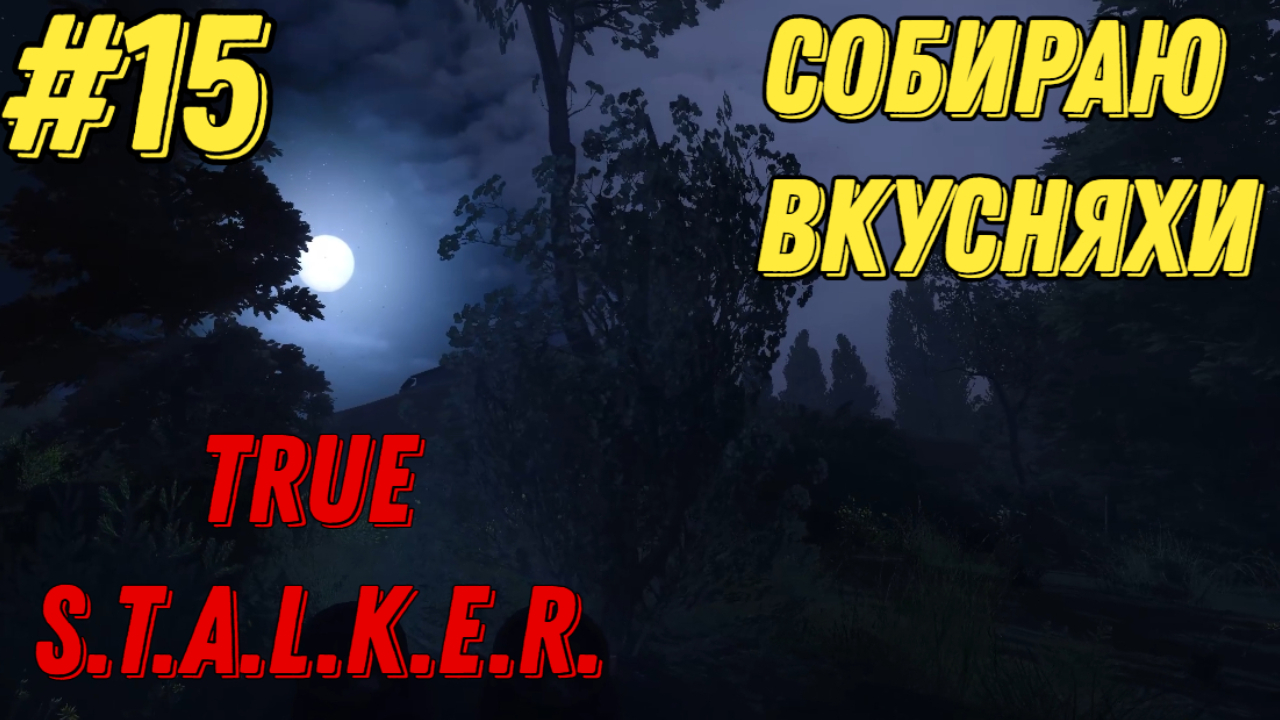 СОБИРАЮ ВКУСНЯХИ l Новичек в TRUE STALKER l Часть 15