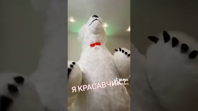 ??✨ Искренняя радость: поздравление с танцующей звездой TikTok - mishow.ru