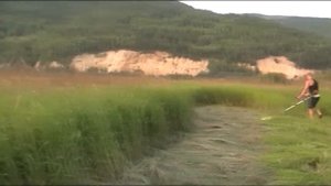 Сенокос \ ТРИМЕР ПРОТИВ ЛИТОВКИ