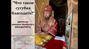 "Что такое сугубая благодать?" Епископ Венёвский Феодорит.