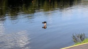 Пляж Левобережный г. Москва