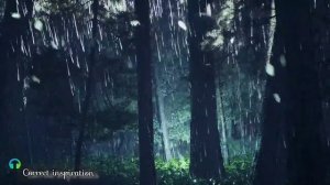 Rain Sounds for Sleeping 3H?- Sound of Heavy Rainstorm & Thunder in the Mistry Forest At Night/ASMR