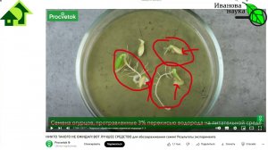 ПОЧЕМУ МЕНЯ СОВСЕМ РАЗОЧАРОВАЛ ПРОЦВЕТОК? Платон мне друг, но истина дороже! Анонс выпуска.