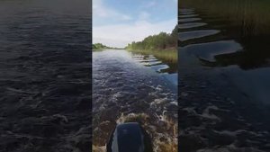 Обкатка лодочного мотора Меркурий 9.9 4-такта